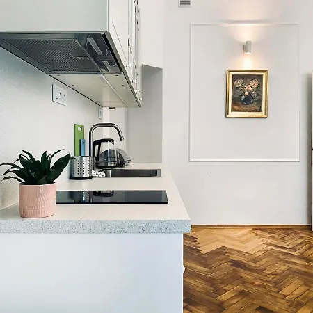 Beautiful With Two Rooms, Cracow Old Town アパート